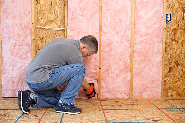 Best Blown-In Insulation  in Keystone, FL